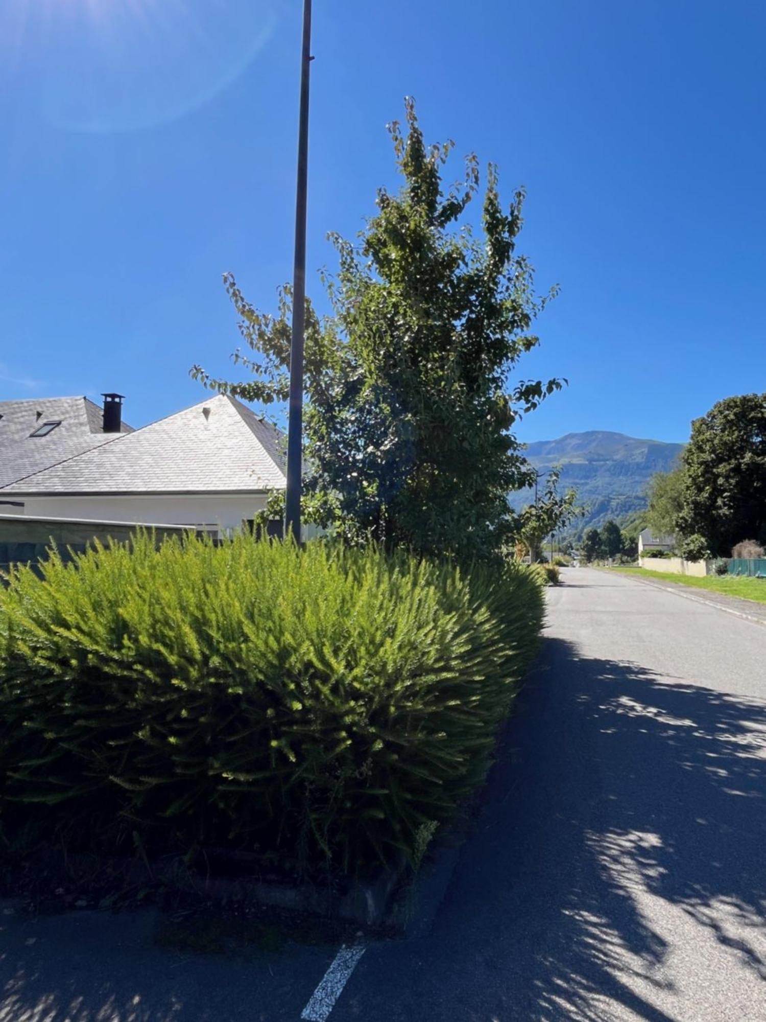 La Maison De Lilette Proche Argeles Gazost Ayzac-Ost Exteriör bild